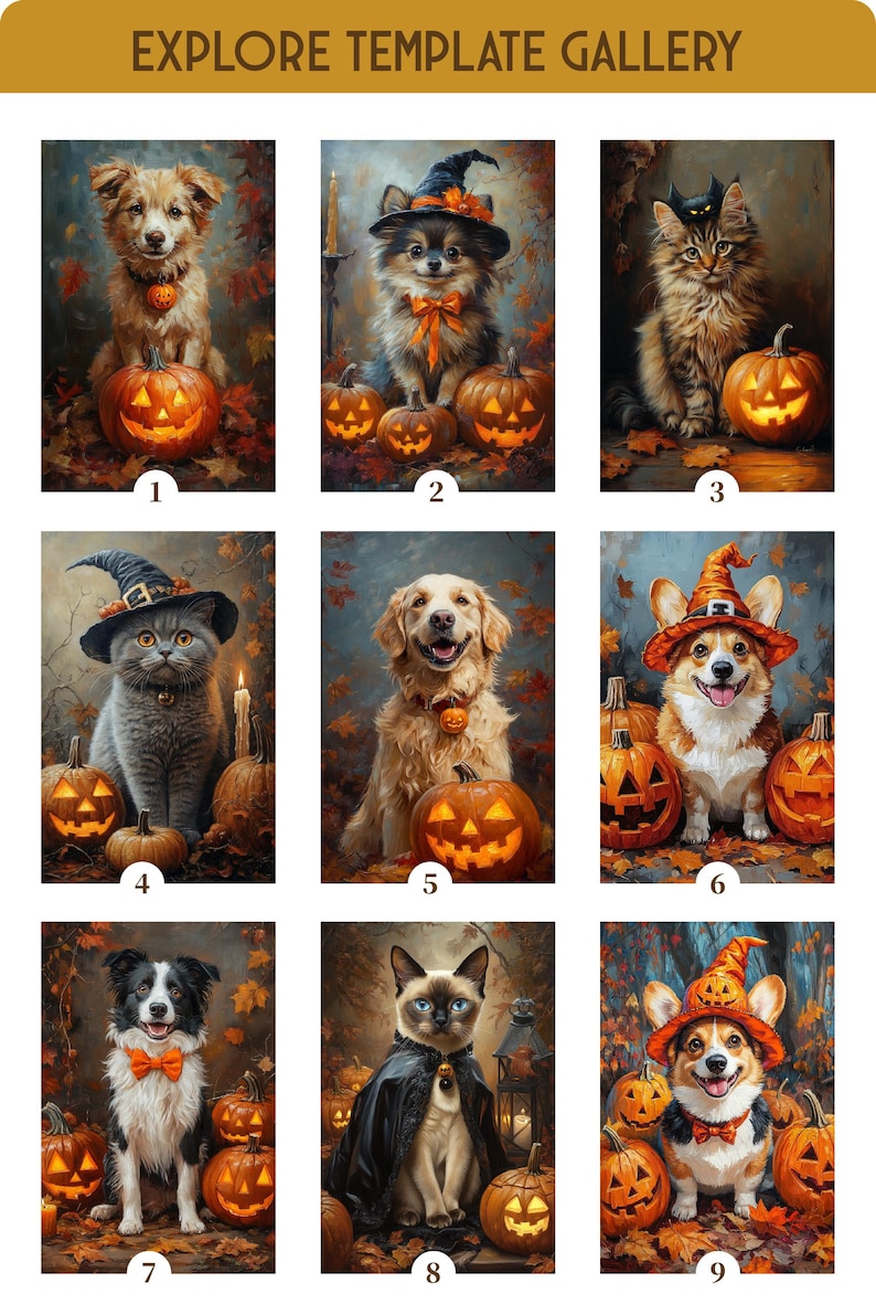 May include: A selection of Halloween-themed portraits showcasing pets in costumes, including dogs and cats. Each pet is positioned with a carved pumpkin, set against a backdrop of autumn leaves. The text "EXPLORE TEMPLATE GALLERY" is at the top.
