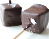 Fleur de Sel Caramel Dark Chocolate Mallow Pop