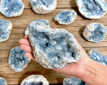 May include: A hand holds a large, light blue celestite geode, showcasing its crystalline structure. Several smaller celestite geodes are scattered on a wooden surface. The geodes have a light blue color with white edges.