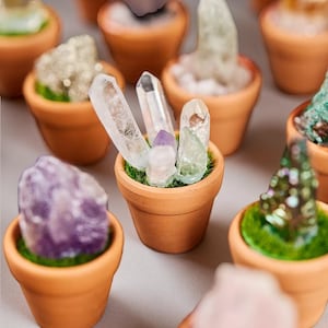 Könnte beinhalten: Kleine Terrakotta-Töpfe gefüllt mit grünem Moos und verschiedenen Kristallen, darunter Bergkristall, Amethyst und andere farbige Steine. Die Kristalle sind so angeordnet, dass sie Miniaturgärten ähneln und eine natürliche und dekorative Darstellung schaffen.