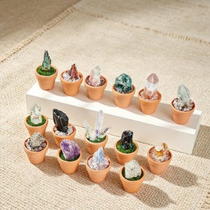 May include: A collection of small terracotta pots, each containing a unique raw crystal or mineral specimen. The crystals vary in color, including clear, purple, black, and green, and are set against a base of green moss or small stone chips.