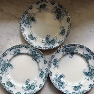 May include: Three round ceramic plates featuring a white center and a wide rim decorated with a dark teal floral pattern. The edges of the plates have a scalloped design with a thin gold trim. The floral motif consists of detailed roses.