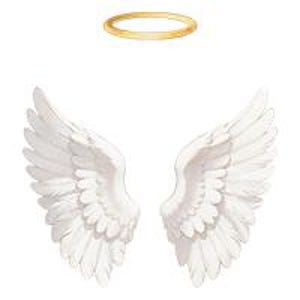 May include: A pair of white angel wings with detailed feathering, positioned symmetrically. Above the wings is a golden halo. The image is set against a plain white background, highlighting the delicate design.