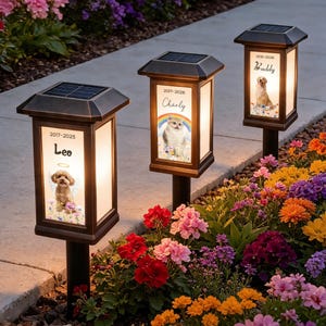 May include: Three solar-powered memorial garden lights with personalized pet photos. Each light has a bronze-colored frame, a solar panel on top, and a photo of a pet with its name and dates. The lights are set in a flower garden.