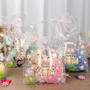 May include: Clear plastic Easter gift bags with pink bows and bunny graphics. Each bag contains colorful Easter grass, eggs, and a stuffed animal. The bags are personalized with names and letters.