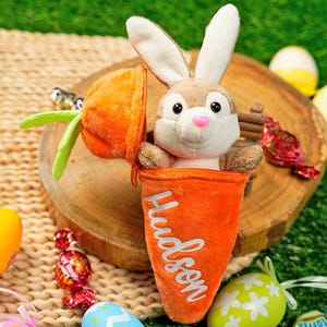 May include: A plush bunny toy peeks out of an orange carrot-shaped pouch. The carrot has a zipper and the name "Hudson" in white script. The bunny has brown and white fur, a pink nose, and black eyes. Easter-themed.