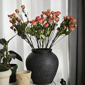 May include: A black, textured ceramic vase filled with dried orange roses and green leaves. The vase has a round shape and sits on a white surface. Other small potted plants are in the background.