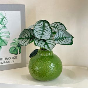 May include: A green ceramic vase, shaped like a citrus fruit, displays a plant with large, silver-veined leaves. The vase is on a white surface beside a framed print with green leaf illustrations and the text "YOUTH HAS YOU, our youth has me."