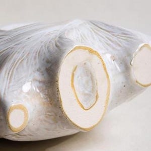 Puede incluir: Primer plano de un cuenco de cer&aacute;mica con un esmalte blanco roto texturizado. El cuenco tiene una forma org&aacute;nica &uacute;nica con un borde y una base de color marr&oacute;n claro. El dise&ntilde;o del cuenco presenta una serie de formas redondeadas y abiertas.