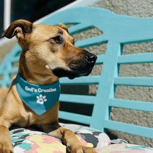 May include: A brown dog wearing a teal bandana with the text "God's Creation" and a paw print logo, resting on a patterned cushion. The dog is in front of a light blue bench.