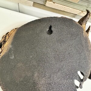 May include: A bronze-colored wall hanging in the shape of a ram's head. The back of the sculpture is a dark gray with a keyhole for hanging. The horns are a lighter brown.