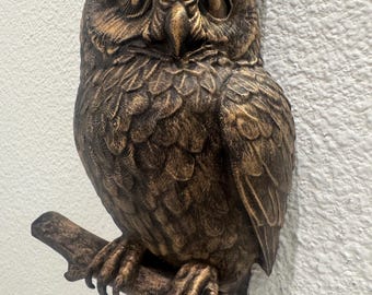 Owl Wall Sculpture – Hand Painted Bird on Branch | Rustic Wildlife Wall Art | Owl Decor Gift for Home or Office | Owl Wall Sculpture