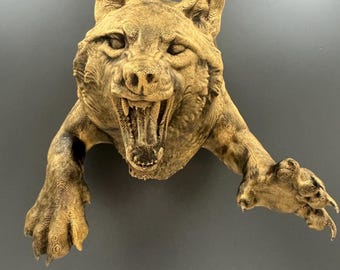 Escultura de cabeza de lobo para pared / Diseño que rompe la pared / Arte mural de animales / Decoración rústica de lobo / Lobo colgante para cueva de hombre / Regalo gótico de lobo