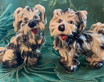 Spaghetti Spaniels Made in Italy pair