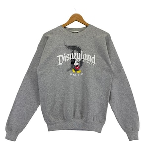 May include: A grey sweatshirt featuring the Disneyland Resort logo and a Mickey Mouse graphic. The logo is in a stylized font with a large letter "D". The sweatshirt has long sleeves and a crew neck.