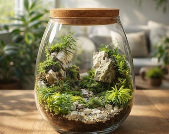 Glazen terrarium met kurken deksel - decoratieve container voor luchtplanten, mos en hydrocultuur micro-landschap