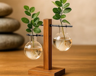 Moderne Hydroponic Glass Vase with Wooden Stand - Propagation Terrarium & Green Décor