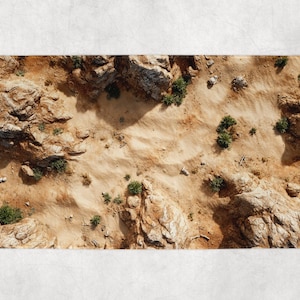 Pode incluir: Tapete retangular com um design detalhado de paisagem desértica, visto de cima. A imagem mostra areia bege, áreas rochosas castanhas e bege, e pequenas plantas verdes. A aparência geral é natural e texturizada.
