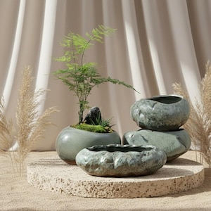 May include: A collection of four green ceramic planters of varying sizes, arranged on a textured, round stone platform. One planter holds a small fern with a rock accent. The planters have a textured, organic appearance, and are set against a neutral backdrop.