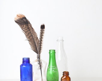 Vintage Bottle and Accessory Collection #4