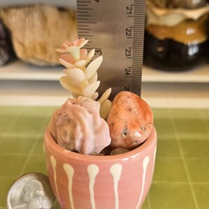 CRYSTAL Decoration Bowl Charging Station| Pink Potted Cotton Candy Flower Agate