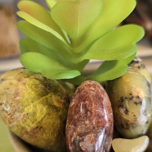 May include: A small ceramic bowl filled with polished stones and a faux succulent. The stones are various colors, including brown, yellow, and green. A ruler is visible in the background.