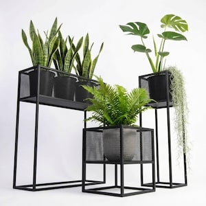 Puede incluir: Tres soportes para plantas de metal negro con laterales de malla y marcos rectangulares. El soporte más alto sostiene una sansevieria, el mediano una monstera con planta colgante y el más bajo un helecho en una maceta gris.