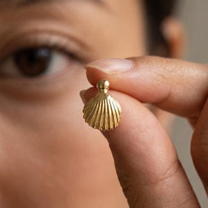 Örhängen med pilgrimsmussla i guld, fina snäckskal, kustsmycken i 14K guld, present till strandälskare
