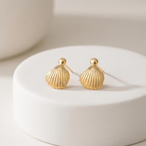 May include: A pair of gold stud earrings shaped like small seashells. Each earring features a textured, fan-like shell design with vertical ridges and a smooth, rounded ball at the top where the post connects. The earrings have a polished finish.
