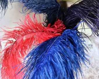 1 Antique Dyed Ostrich Feather