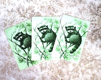 3 Vintage Racoon Playing Cards