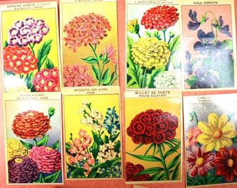 1 étiquette de paquet de graines de fleurs françaises vintage - 60 au choix