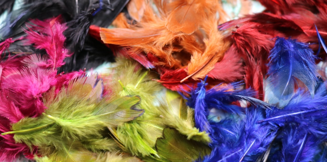 1 Bag Antique Small Soft Millinery Feathers in Six Colors - Etsy