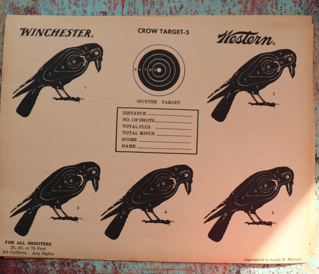 TARGETページ Pennsylvania Johnsonville c1880 target 1866-1917 3c Washington