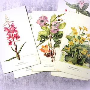 1 Vintage Wildblumen Karte von Lee Adams