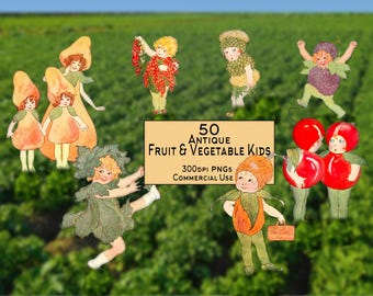 50 Antique Fruit and Vegetable Children Diecuts