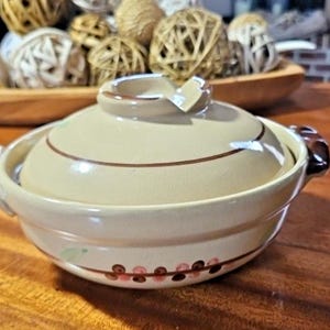 Japanese Earthenware Donabe Pot W Lid Casserole Made In Japan. T2