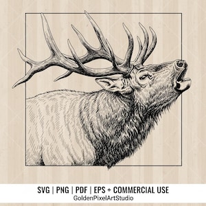 May include: Detailed black and white illustration of a bull elk with large antlers, roaring. The artwork is set within a black rectangular frame against a light wood-grain background. Text at the bottom indicates file formats and commercial use.