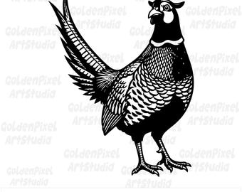 Disegno di un fagiano, grafica vettoriale, stampa a intaglio, incisione laser (file digitali, uso commerciale)