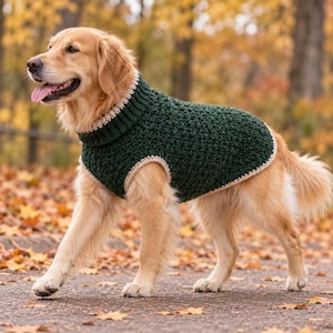 Może przedstawiać: Pies rasy golden retriever ubrany w ciemnozielony szydełkowany sweter z wysokim prążkowanym kołnierzem i jasnobeżowym wykończeniem wokół szyi, otworów na łapy i dołu. Sweter ma teksturowany wzór ściegu i zakrywa tułów psa.