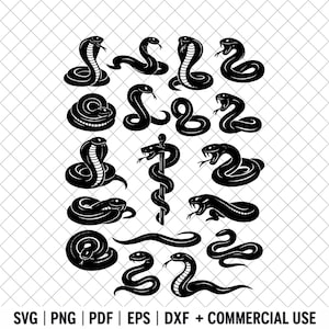 Snake Svg, Png, Jpeg, Pdf, Reptile Clip Art, Cricut Silhouette Cut Files