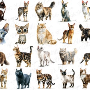 Cute cat clipart
Kawaii cat illustration
Watercolor cat clipart
Hand-drawn cat graphic
Sketched cat illustrations
Cartoon cat clipart
Simple cat drawings
Minimalist cat clipart
Abstract cat graphics
Realistic cat illustration
Vintage cat clipart
Retro cat graphic
Modern cat illustration