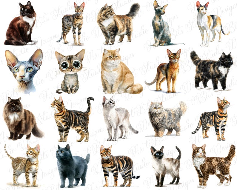 Cute cat clipart
Kawaii cat illustration
Watercolor cat clipart
Hand-drawn cat graphic
Sketched cat illustrations
Cartoon cat clipart
Simple cat drawings
Minimalist cat clipart
Abstract cat graphics
Realistic cat illustration
Vintage cat clipart
Retro cat graphic
Modern cat illustration