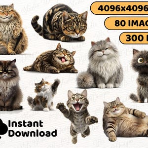 Instant download cat PNG
Sarcastic cat clipart
Angry cat graphics
Grumpy cat clipart
Judgmental cat illustration
Surprised cat face
Sleepy cat humor
Derpy cat clipart
Annoyed cat PNG
Happy cat funny
Cat with attitude clipart
Goofy cat faces
Cat quotes clipart
Cat sayings graphics