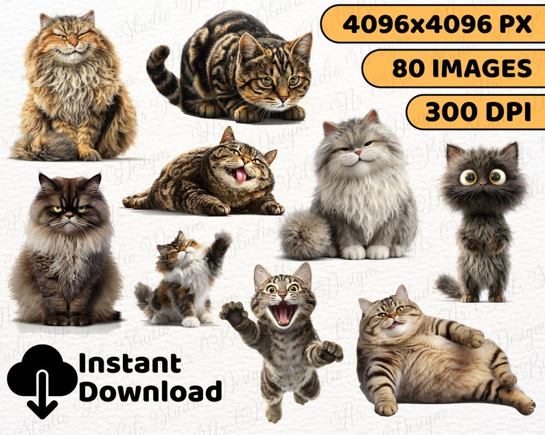 Instant download cat PNG
Sarcastic cat clipart
Angry cat graphics
Grumpy cat clipart
Judgmental cat illustration
Surprised cat face
Sleepy cat humor
Derpy cat clipart
Annoyed cat PNG
Happy cat funny
Cat with attitude clipart
Goofy cat faces
Cat quotes clipart
Cat sayings graphics