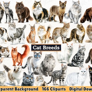 Cat breeds clipart
Cat illustration bundle
Feline clipart set
Kitty breeds graphic pack
Digital cat drawings
Printable cat images
Cat vector collection
Commercial use cat clipart
PNG cat transparent background
JPEG cat bundle
Digital download cats
High resolution cat graphics
Cat artwork bundle
Pet clipart bundle
Animal illustration pack