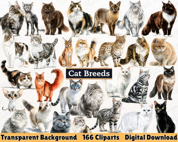 Cat Breeds Clipart Bundle, Realistic Watercolor Cat PNG, Pet Animals, Instant Download, Commercial Use