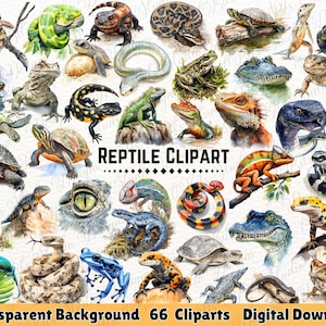 May include: A collection of 66 reptile clip art images with a transparent background. The illustrations include various types of snakes, lizards, turtles, and frogs in vibrant colors. The text "Reptile Clipart" is visible.