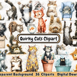 May include: A collection of 36 quirky cat clip art images with transparent backgrounds. The cats are depicted in various poses and colors, including orange, black, gray, and calico. The text "Quirky Cats Clipart" is displayed in a black and gold banner.