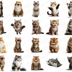 Funny Christmas cat
Silly Halloween cat
Cat Thanksgiving graphics
Valentine cat humor
Funny Easter cat
New Year cat clipart
Birthday cat clipart
Seasonal cat pack
Holiday cat art
